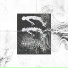 507qtm