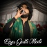 Zeeshan Khan Rokhri