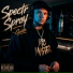 Spectr Spray