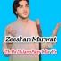 Zeeshan Marwat
