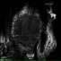 NIGYL