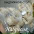 Советская группа
