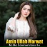 Amin Ullah Marwat
