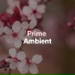 Ambient Music Collective