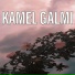 Kamel Galmi