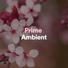 Ambient Music Collective