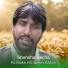 Shensha Bacha