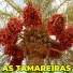Só Rir