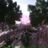 Snakeespear