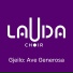 LAUDA Choir
