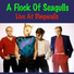 A Flock Of Seagulls