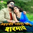 Salim Shekhawas, Shilpa Bidawat