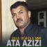 Ata Azizi