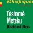 Tèshomè Meteku