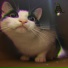 takicat