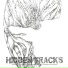 Dj Hidden, Nanotek, Donny