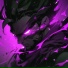 TRXVELER