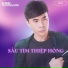 Trường Sơn, Lưu Ánh Loan