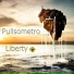 Pullsometro
