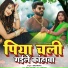 Nihal Mishra