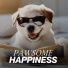 Dog Music Club