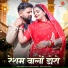Vaishali Rajkour, Dinesh Lohar