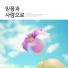 Lee Haeun