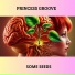 PRINCESS GROOVE