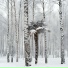 рэ.прэса, hoqu