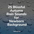 Nature Sounds, Pro Sounds of Nature, Internal Yoga
