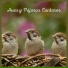 Sonidos De Pajaros