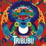 Tribubu