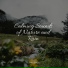 Sound Sleeping, Weather Sounds, Yoga Rain
