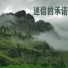 晁仪