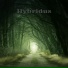 Hybridus