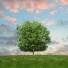 Alleviation