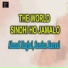 Ahmad Mughal, Samina Kanwal