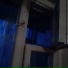 Skag9