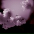 Cloud Static