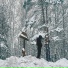 Скарс