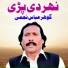 Gohar Abbas Najmi