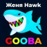 Женя Hawk