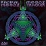 Radikal Moodz, Zzbing