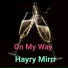 Hayry Mirrr