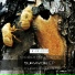 Nicola Magalotti, Cleafheart