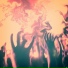 The Agromaniac