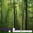 The Lost Lullabies