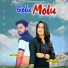 Pranjal Dahiya, sumit gora