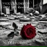 Vox A Limbus feat. Dust of Reason