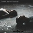 SLaMoRbeats, TONIMOR feat. Viem